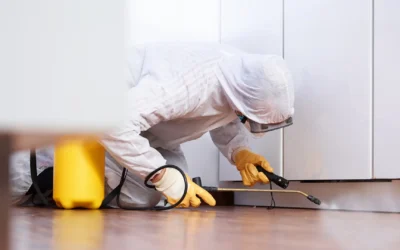 Sanificazione Industriale per aziende: derattizzazione, disinfestazione e piano di pest management